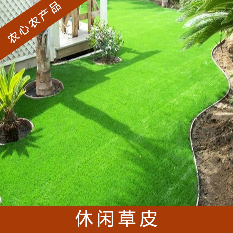 休閑草皮圖片/休閑草皮樣板圖 (4)