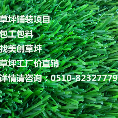 假草圖片/假草樣板圖 (4)