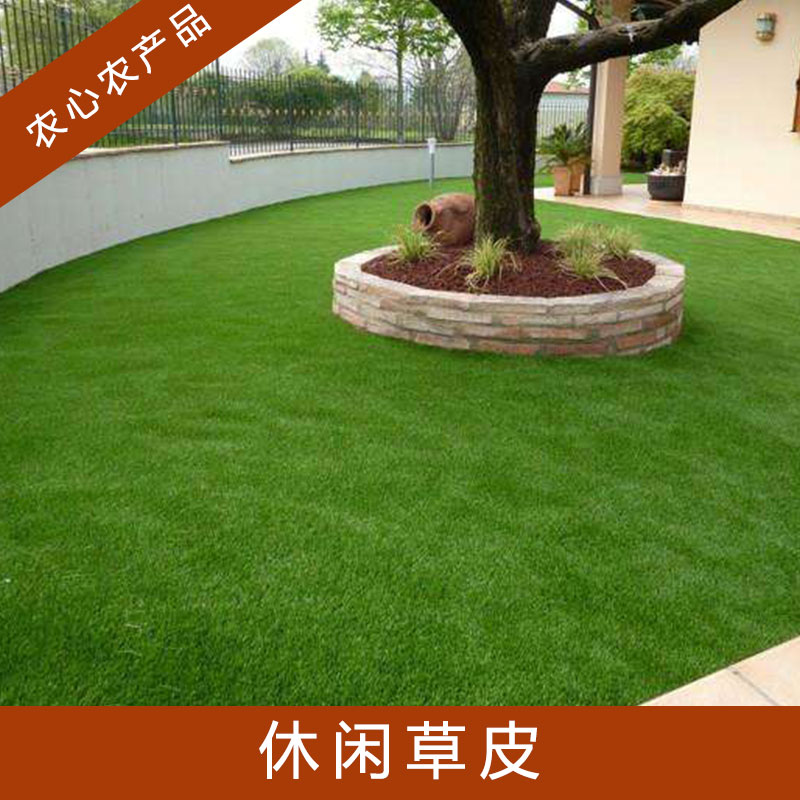 休閑草皮圖片/休閑草皮樣板圖 (2)