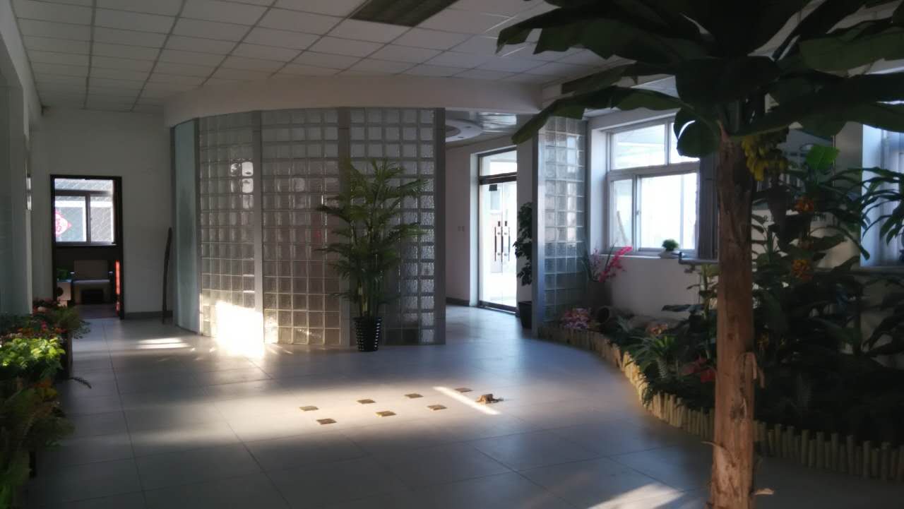 仿真植物圖片/仿真植物樣板圖 (4)