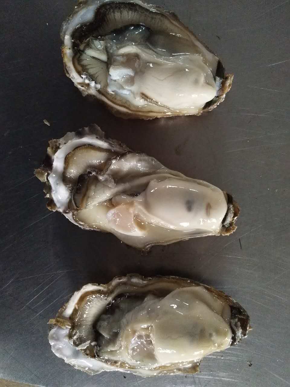 乳山海蠣子產(chǎn)地 乳山生蠔多少錢圖片