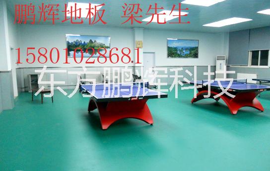 乒乓球運(yùn)動(dòng)地板圖片/乒乓球運(yùn)動(dòng)地板樣板圖 (4)