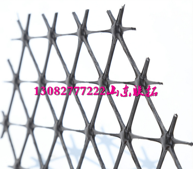 土工格柵圖片/土工格柵樣板圖 (2)