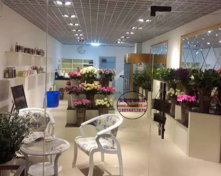 鮮花柜杭州哪里有賣的圖片/鮮花柜杭州哪里有賣的樣板圖 (4)