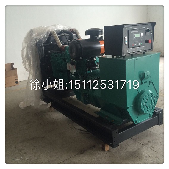 康明斯柴油發(fā)電機(jī)組圖片/康明斯柴油發(fā)電機(jī)組樣板圖 (3)