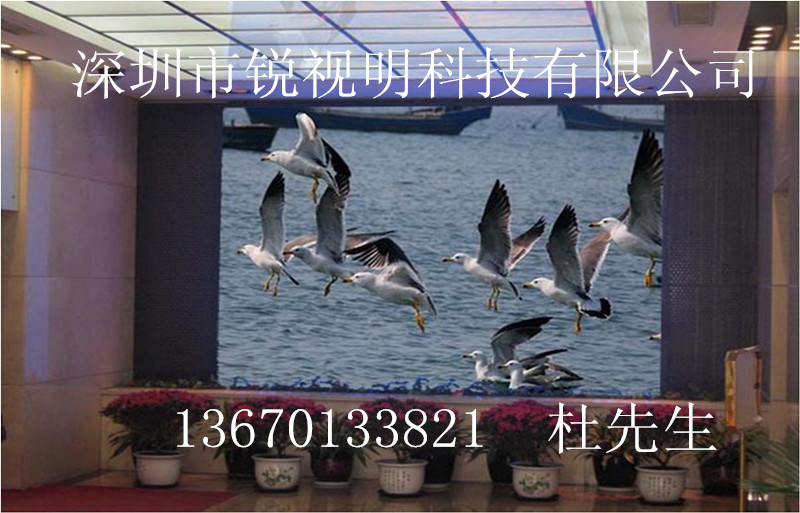 銳視明P5室內(nèi)LED全彩顯示屏圖片