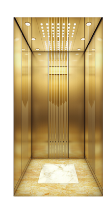 個(gè)人家用電梯圖片/個(gè)人家用電梯樣板圖 (2)