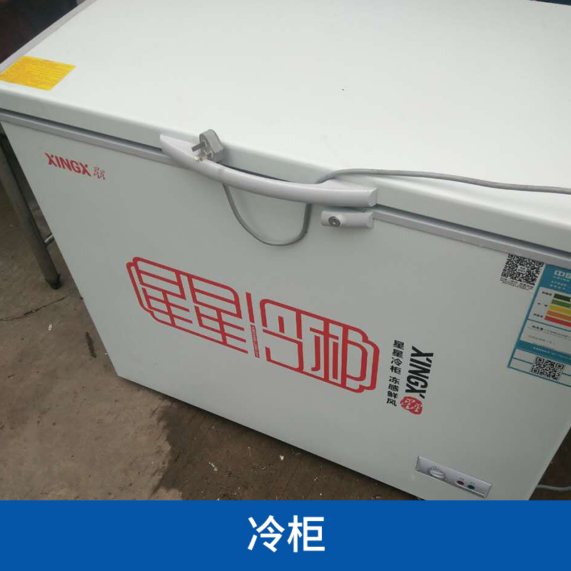 冷柜圖片/冷柜樣板圖 (4)