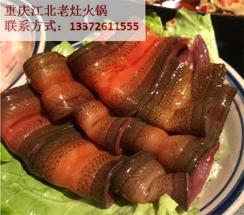 重慶火鍋加盟圖片/重慶火鍋加盟樣板圖 (3)