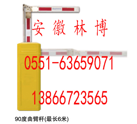 合肥道閘圖片/合肥道閘樣板圖 (3)