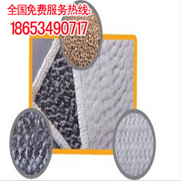 膨潤(rùn)土防水毯圖片/膨潤(rùn)土防水毯樣板圖 (1)