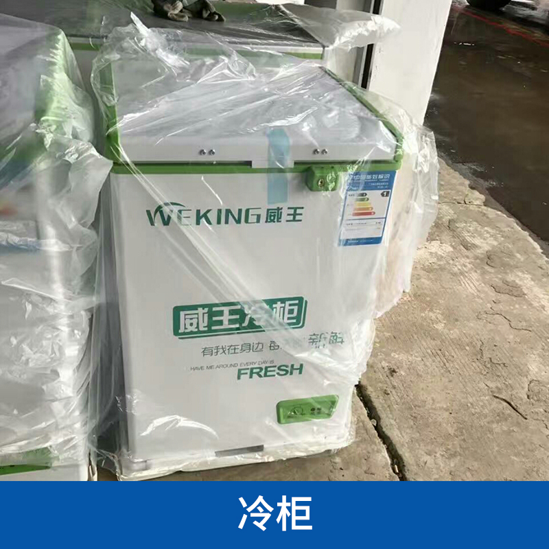 冷柜圖片/冷柜樣板圖 (3)