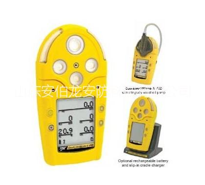 加拿大 BW多種氣體檢測儀M5