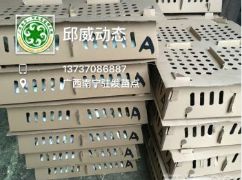 大種番鴨苗圖片/大種番鴨苗樣板圖 (4)