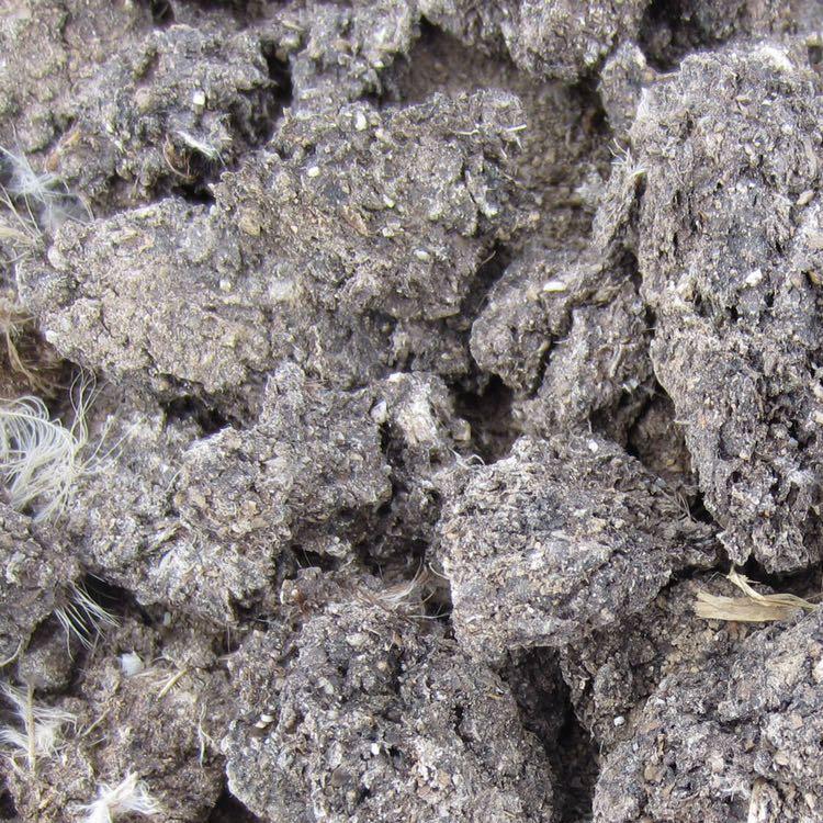 河北廠家直銷(xiāo)干雞糞，價(jià)格低廉，天然曬干 質(zhì)量上成