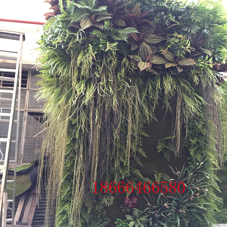 仿真植物圖片/仿真植物樣板圖 (1)