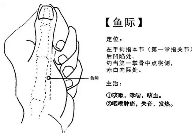 中醫(yī)艾灸圖片/中醫(yī)艾灸樣板圖 (4)