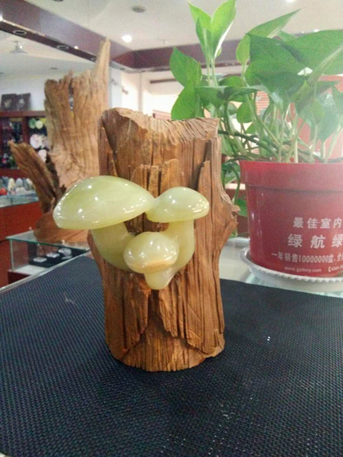 青白玉圖片/青白玉樣板圖 (2)