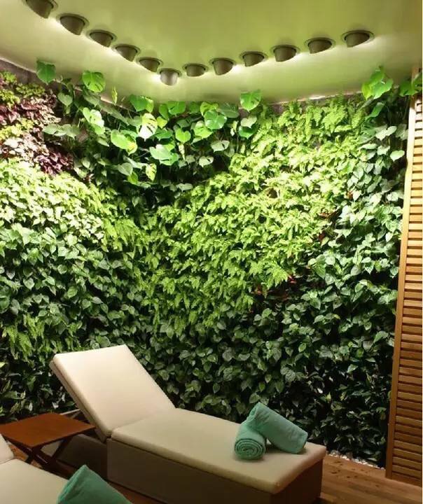 西安植物墻綠植墻專業(yè)設(shè)計施工維護(hù)