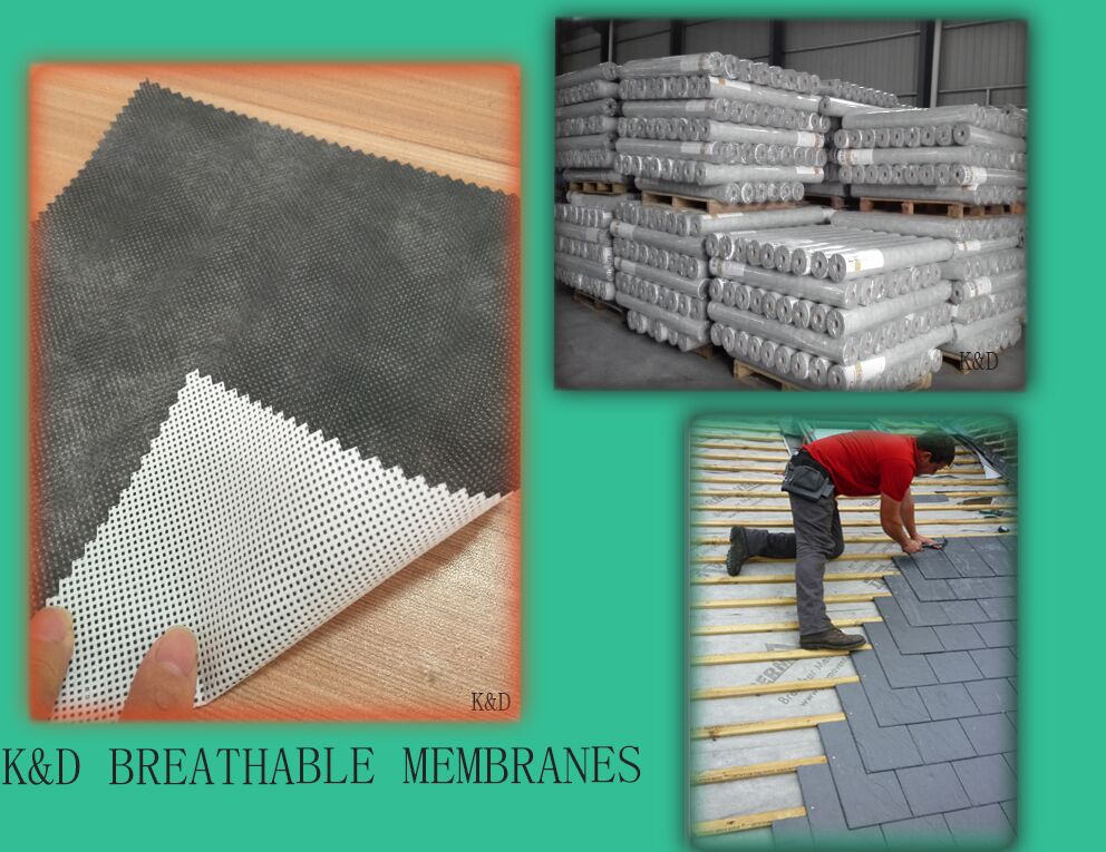 高分子防水透氣膜圖片/高分子防水透氣膜樣板圖 (3)