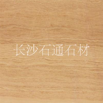 白玉蘭圖片/白玉蘭樣板圖 (2)