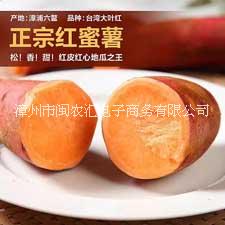 福建漳浦六鰲沙地紅心紅薯 富硒甜