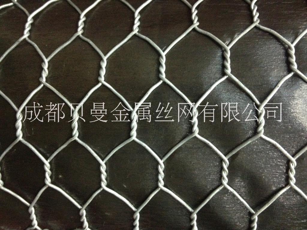 四川鐵絲籠生產(chǎn)廠家圖片/四川鐵絲籠生產(chǎn)廠家樣板圖 (1)