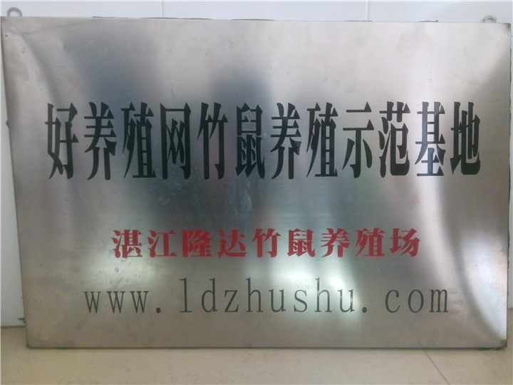 湛江隆達竹鼠圖片