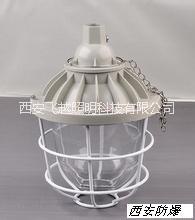 西安飛越防爆燈具 LED防爆燈圖片