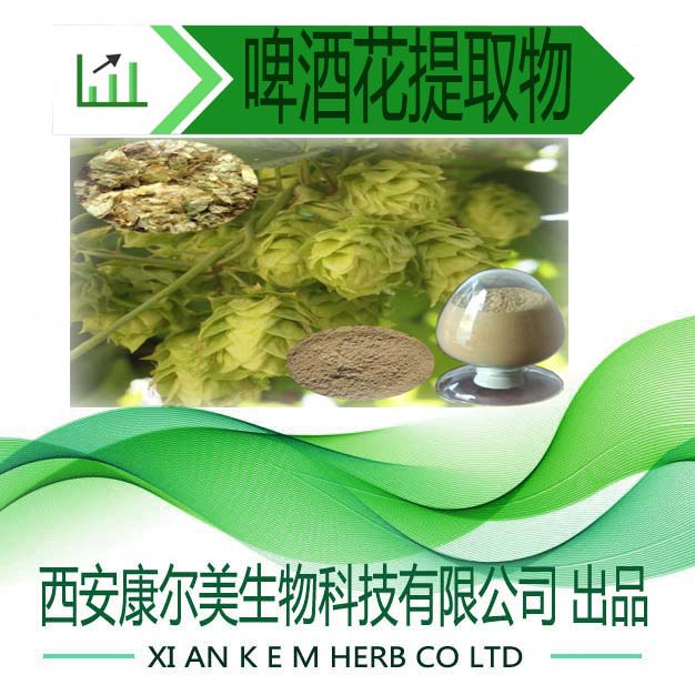 優(yōu)質(zhì)啤酒花提取物甩賣圖片