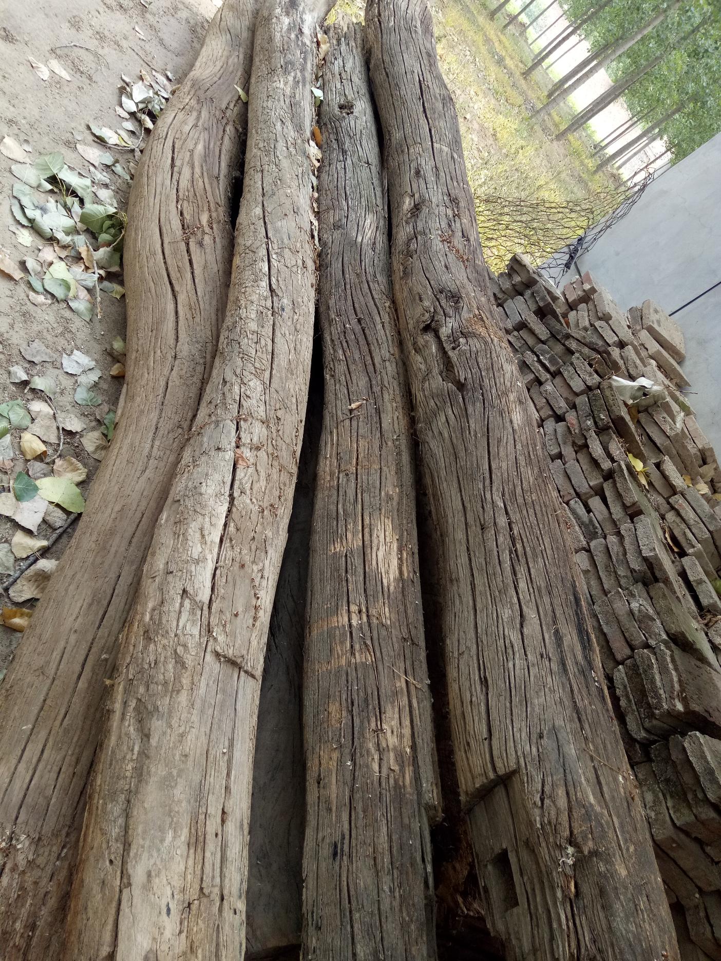老榆木梁圖片/老榆木梁樣板圖 (1)