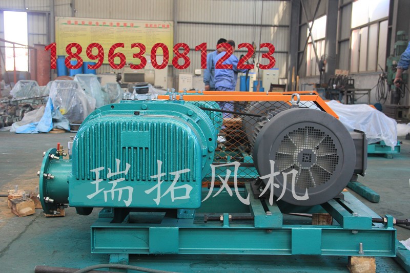 曝氣羅茨風(fēng)機(jī)圖片/曝氣羅茨風(fēng)機(jī)樣板圖 (2)