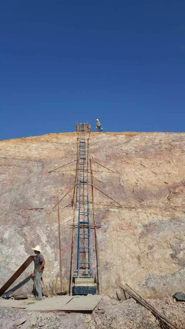 熱銷供應、斜坡爬山虎、爬山虎上料機、建筑爬山虎