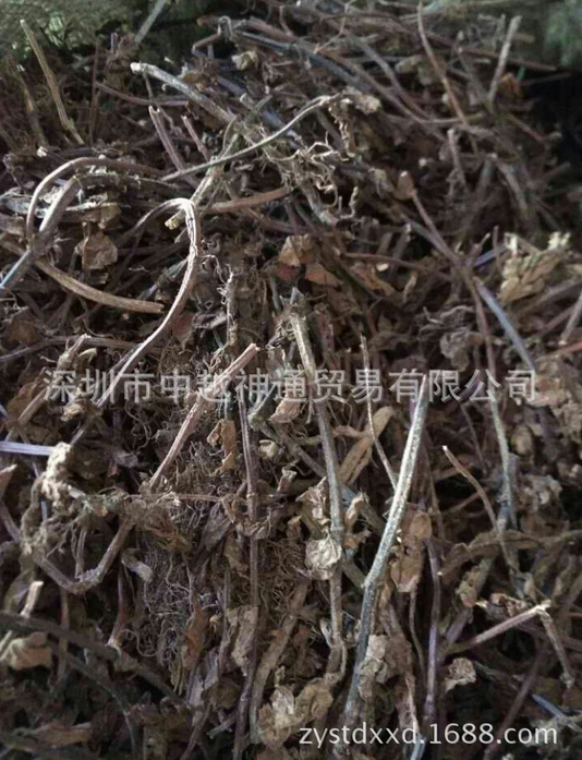 涼粉草圖片/涼粉草樣板圖 (2)