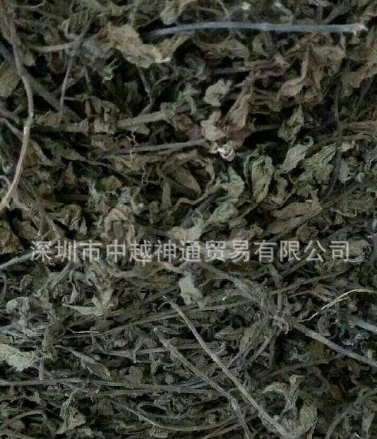 涼粉草圖片/涼粉草樣板圖 (4)