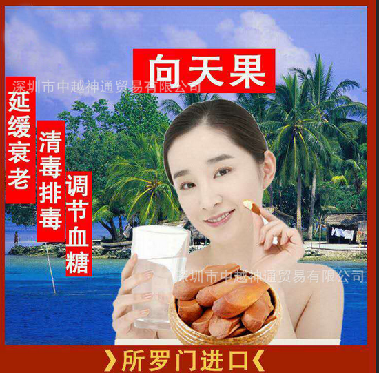 向天果圖片/向天果樣板圖 (1)