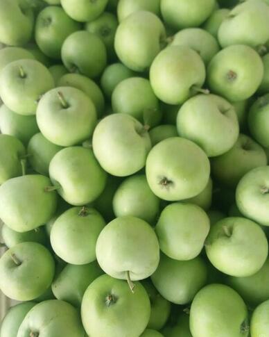 蘋果批圖片/蘋果批樣板圖 (4)