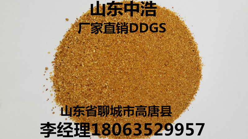 玉米DDGS   噴漿玉米皮   玉米蛋*