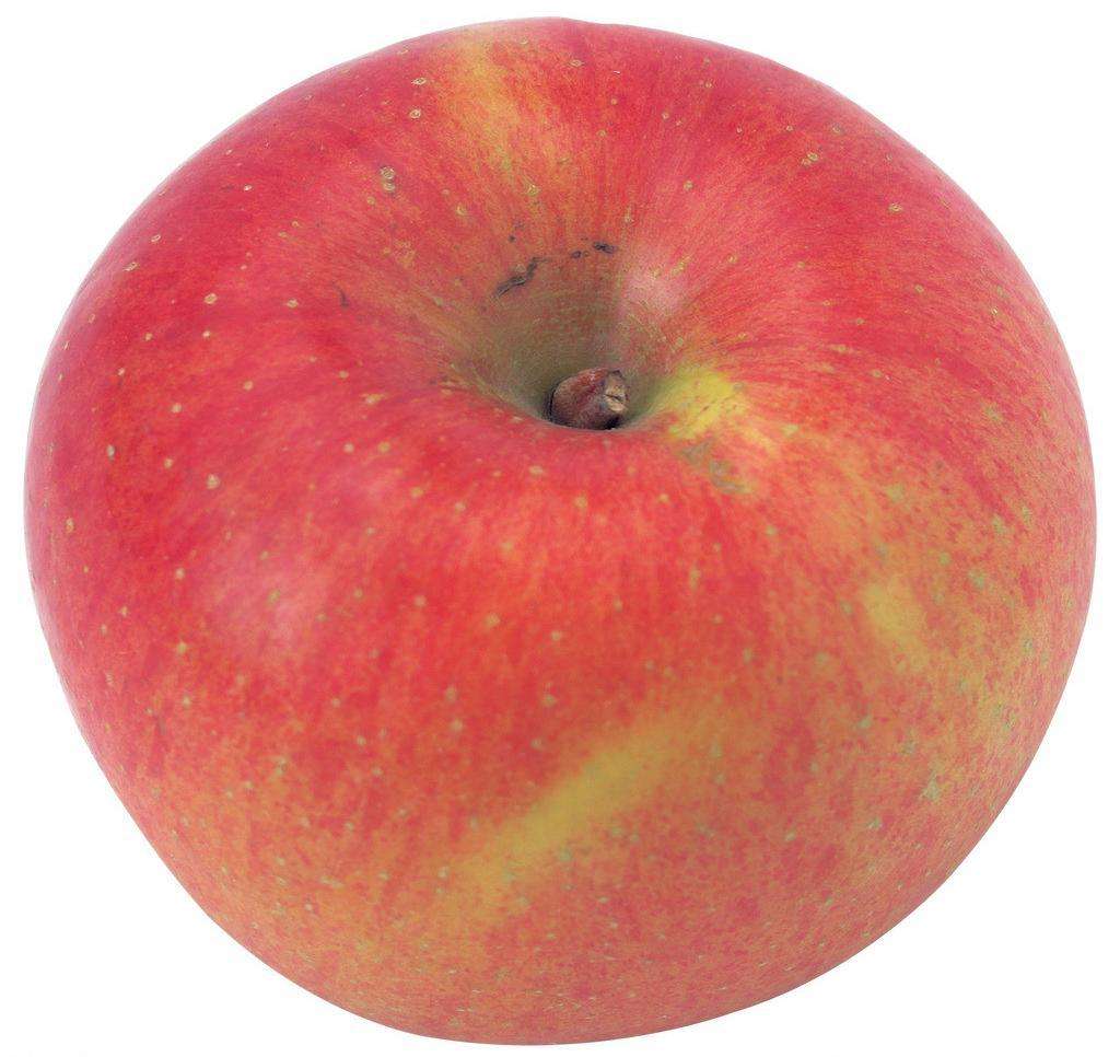 山西蘋果批發(fā)、蘋果批發(fā)價格、山西蘋果報價