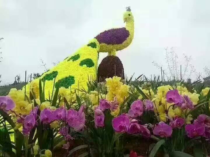 樂高積木圖片/樂高積木樣板圖 (2)