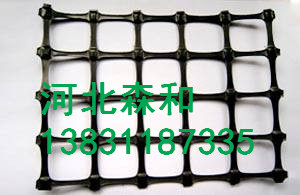 塑料網(wǎng)片圖片/塑料網(wǎng)片樣板圖 (2)