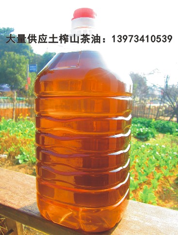 散裝茶油批發(fā)|壓榨山茶油廠家