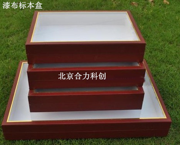 植物標(biāo)本盒 植物標(biāo)本展覽盒圖片/植物標(biāo)本盒 植物標(biāo)本展覽盒樣板圖 (3)