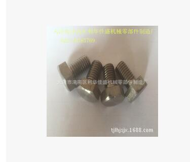 鈦螺絲圖片/鈦螺絲樣板圖 (2)