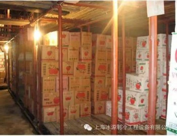 蘋果保鮮庫圖片/蘋果保鮮庫樣板圖 (2)