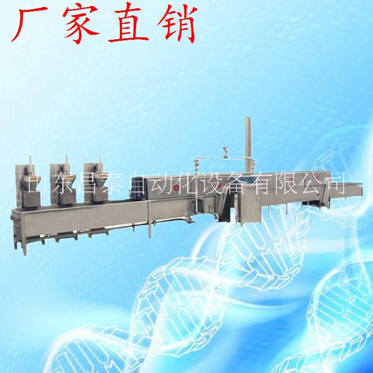 丸子生產(chǎn)線，全套丸子生產(chǎn)線圖片