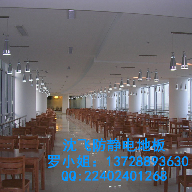 沈飛陶瓷防靜電架空地板圖片