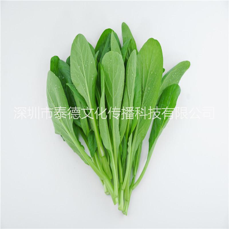 菜心圖片/菜心樣板圖 (1)