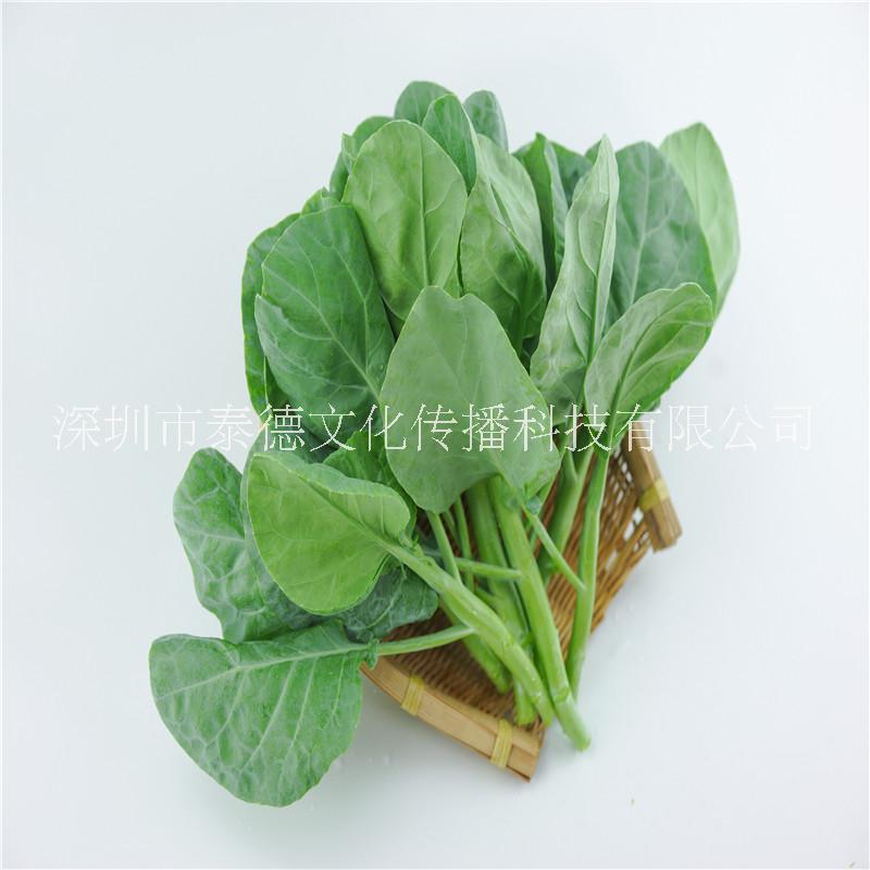 菜園圖片/菜園樣板圖 (1)