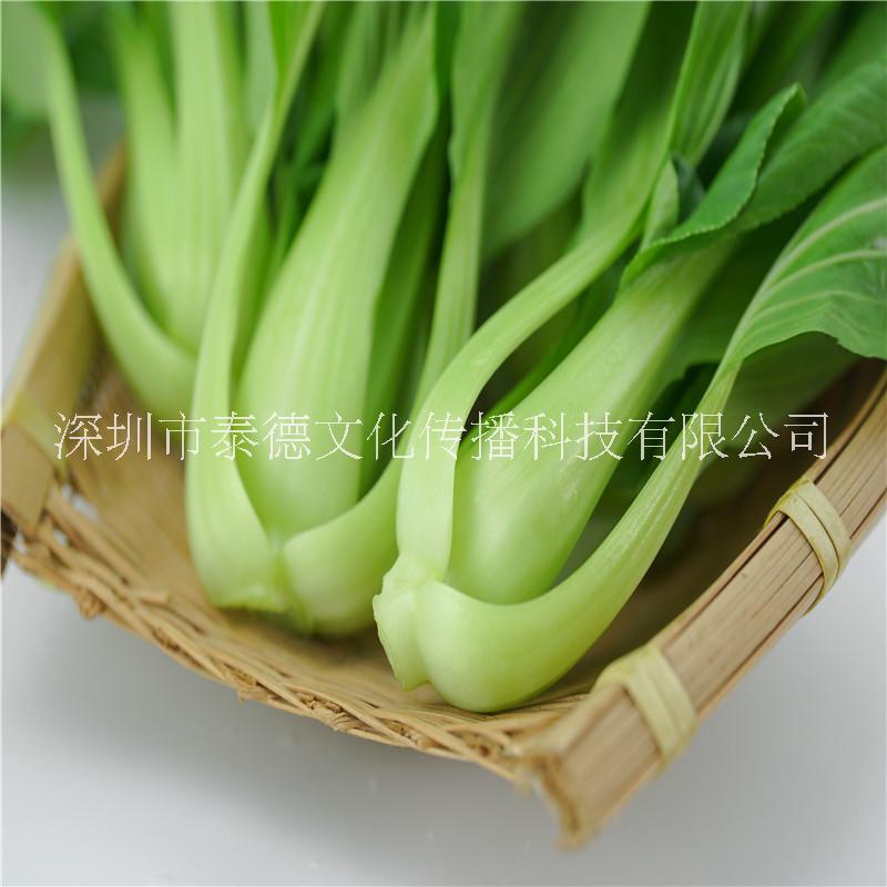 菜園圖片/菜園樣板圖 (1)